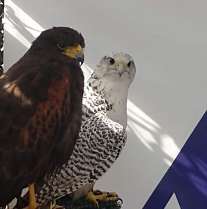 Meet your Posher, Mark